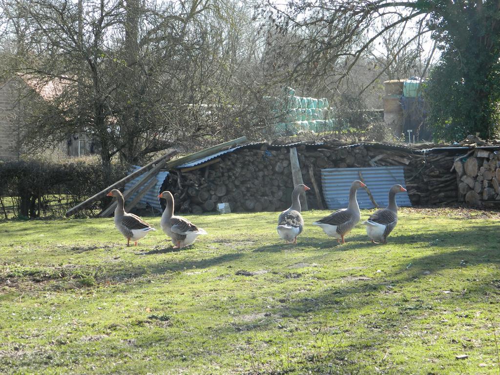 Meubles De Tourisme La Reserve Saint-Pierre-les-Bois Kültér fotó