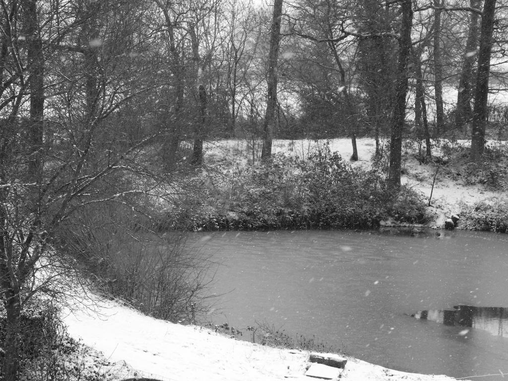 Meubles De Tourisme La Reserve Saint-Pierre-les-Bois Kültér fotó